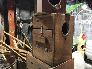 Premium Wooden Bird Nesting Box with Front Hatch – Easy Clean Design