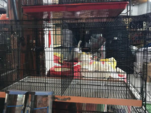 🕊️ Dual-Compartment Metal Bird Cage – Spacious & Smart Design