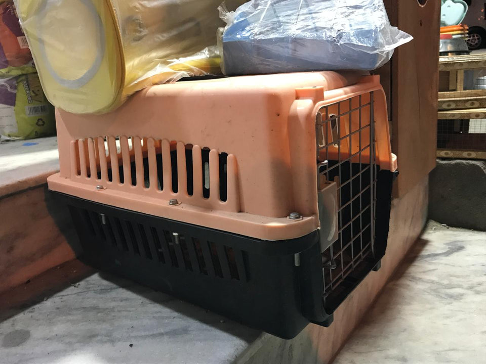 Plastic Pet Carrier – Medium Size (Peach & Black)