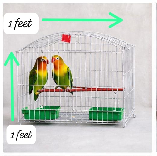 Compact Premium Wire Bird Cage