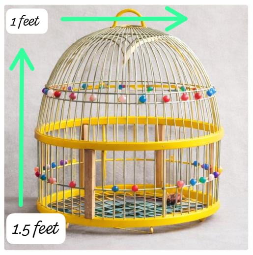 Premium Round Decorative Bird Cage (1ft Width x 1.5ft Height)